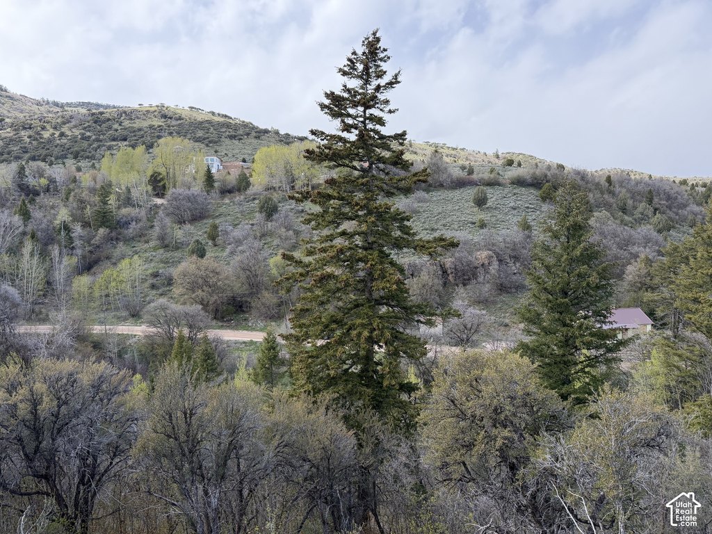 Picture 22
