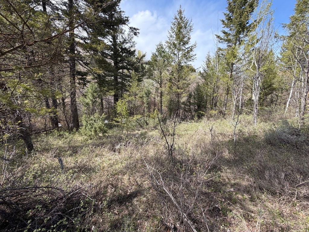 Picture 20