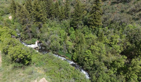 Spacious Wooded Lot Near Highway