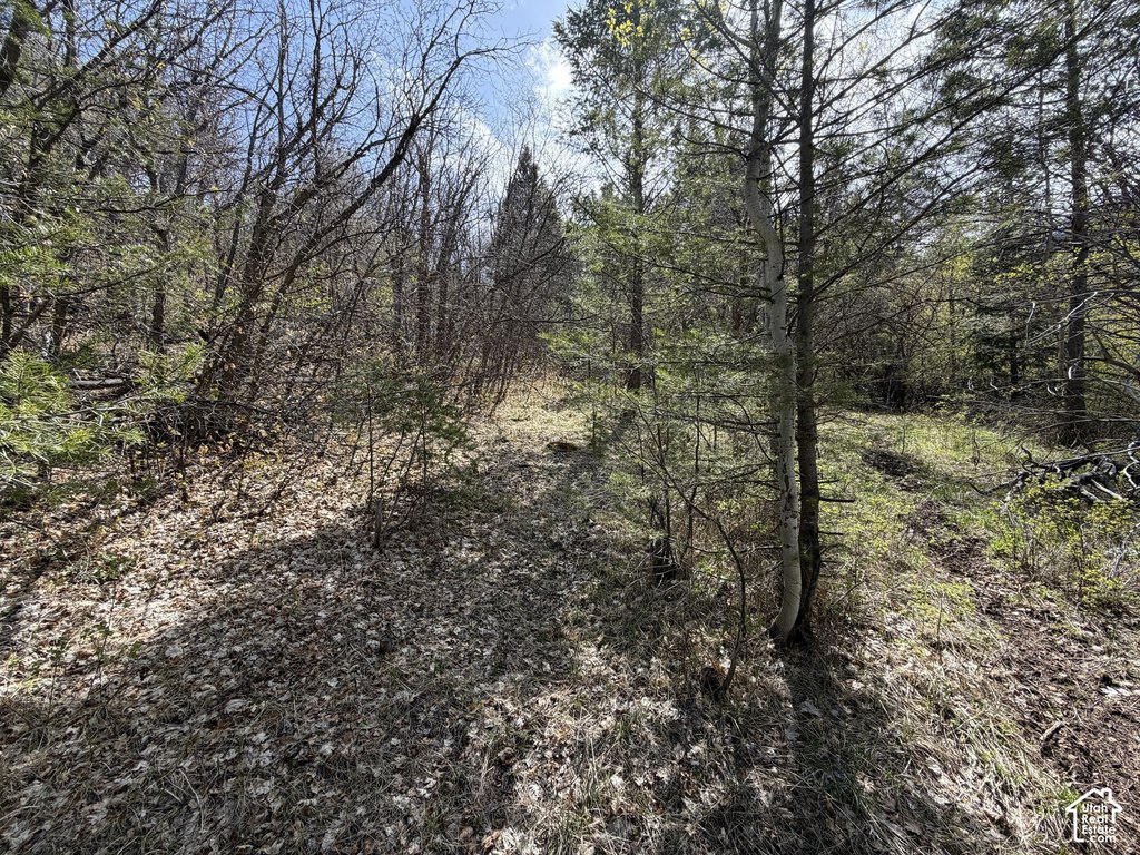 Picture 4