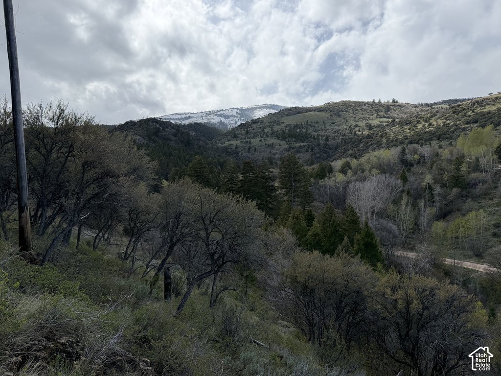 Picture 14
