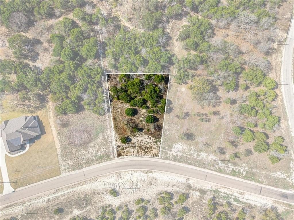 Picture 15