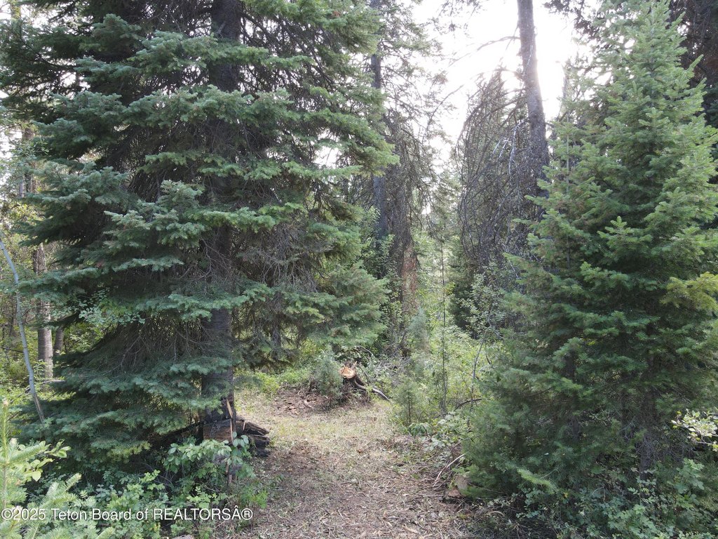 Picture 5