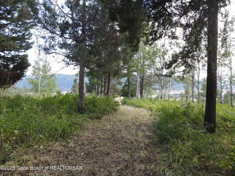 LAND - Alpine, WY