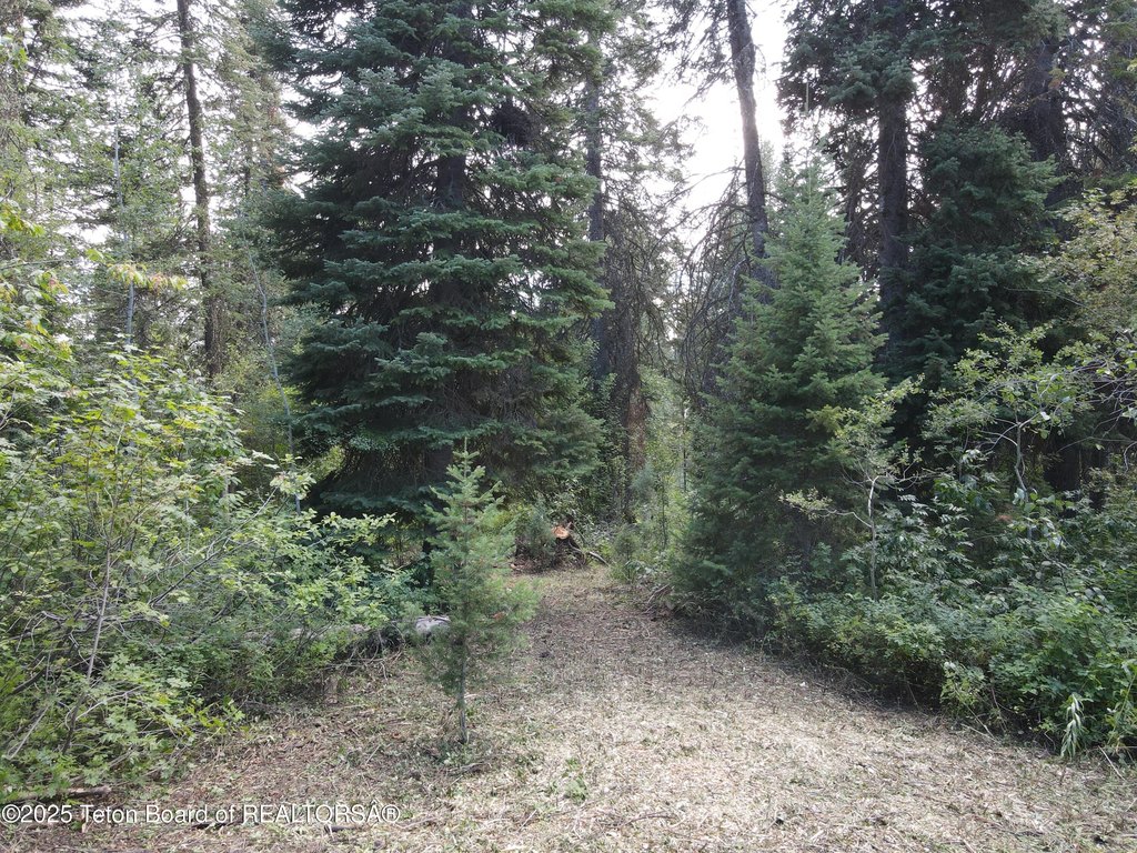 Picture 14