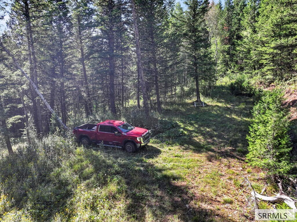 Picture 5