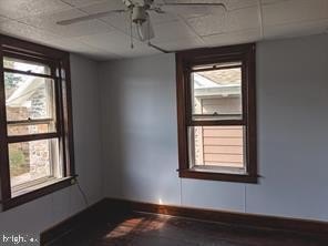 Picture 8