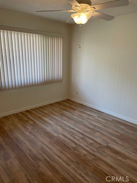 Picture 38