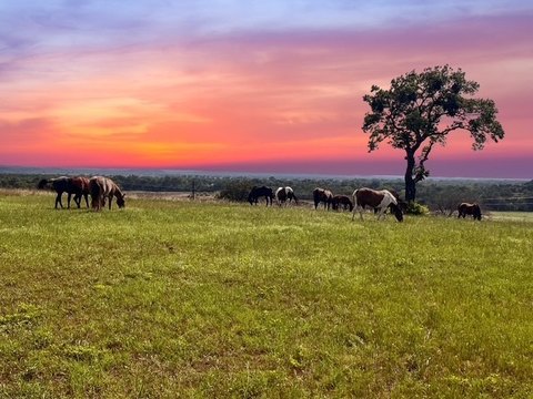 Ranch Land with Stone Home
