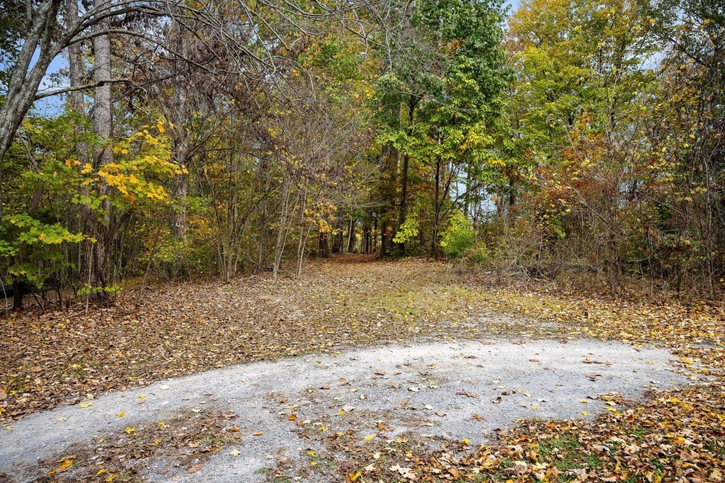 Picture 15