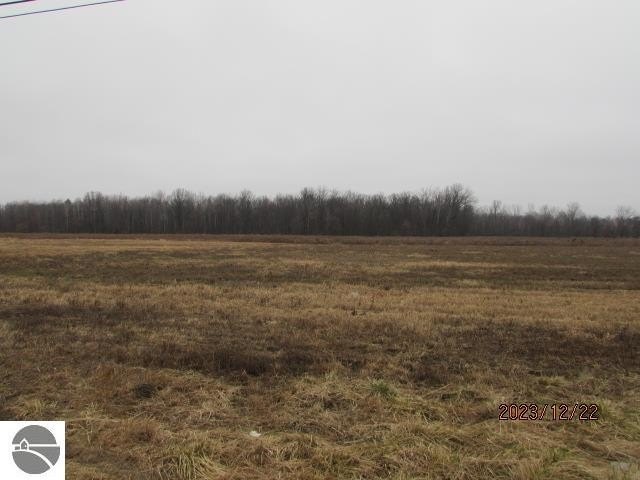 Picture 3