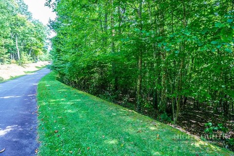 Land, Elk Park, NC