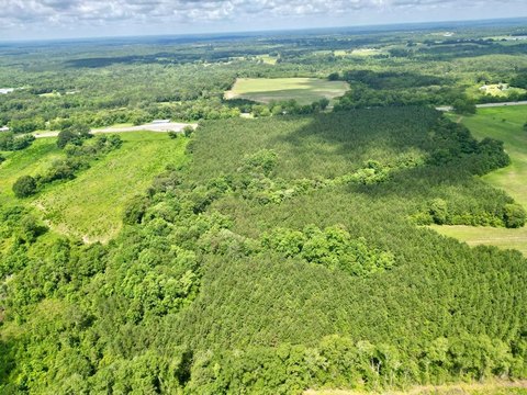 8.54 Acres Homesite in Brundidge