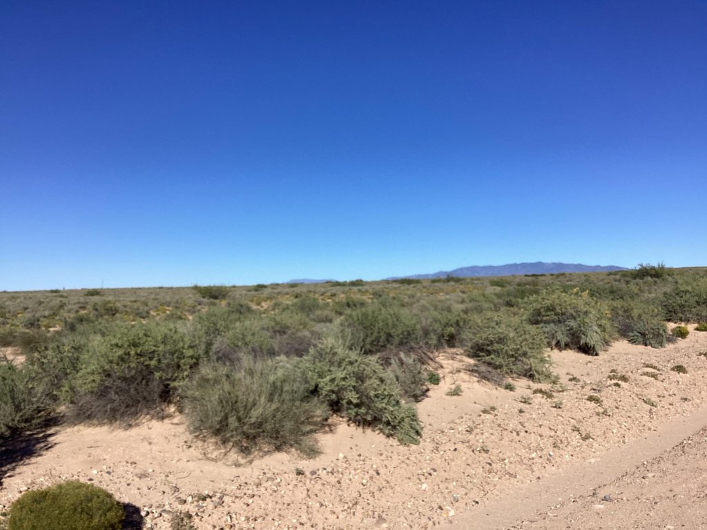 Picture 19