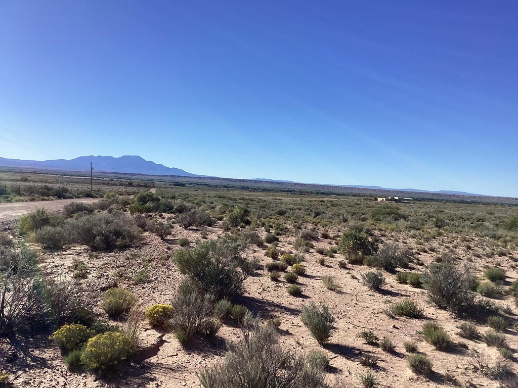 Picture 22