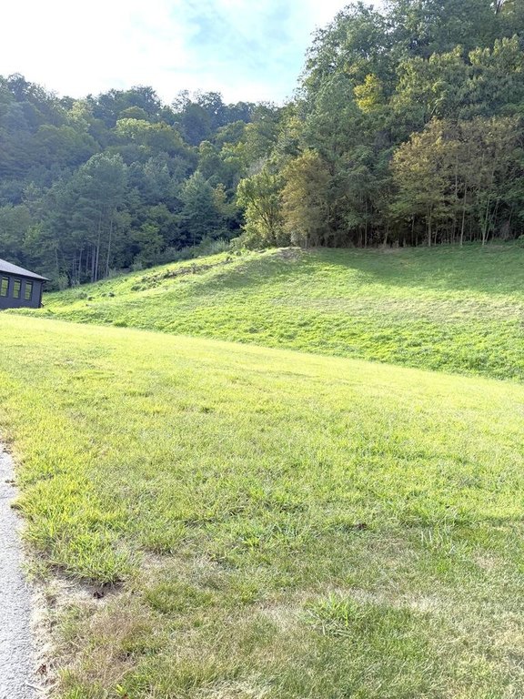 Picture 11