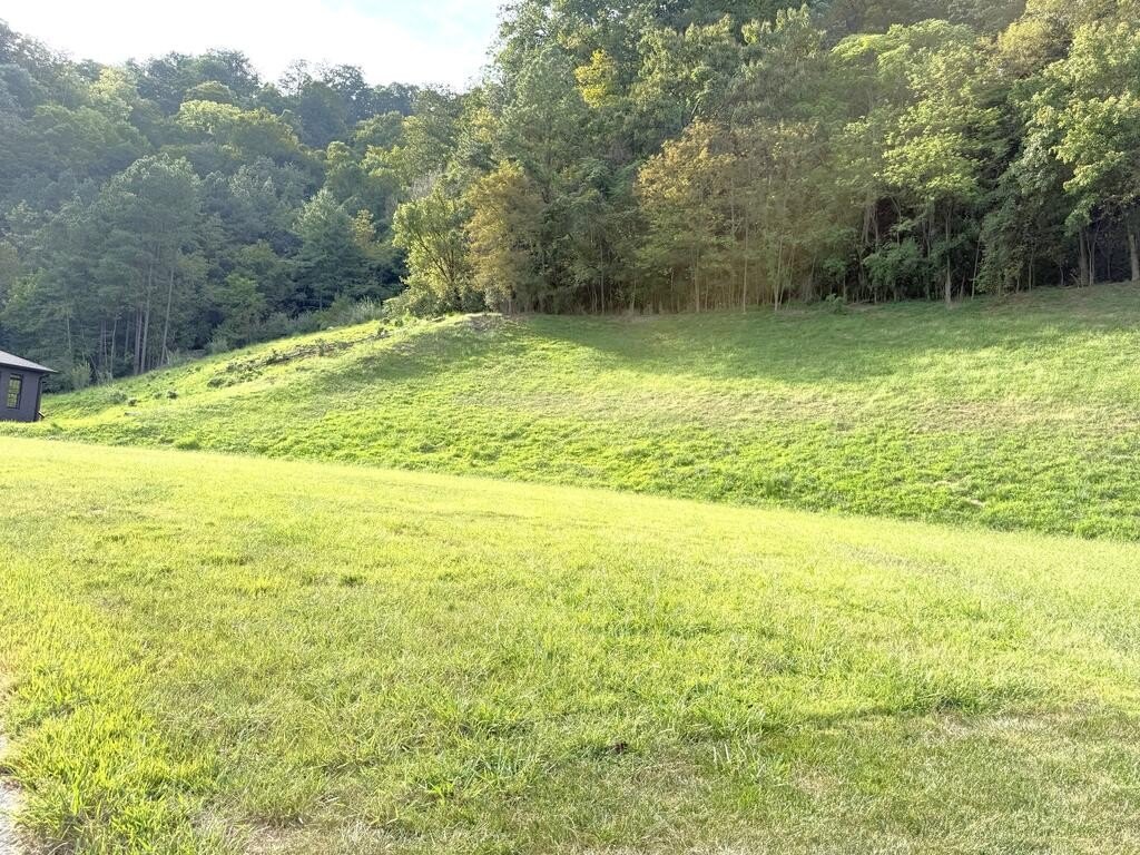 Picture 3