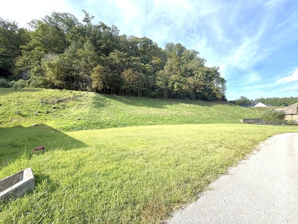 Picture 2