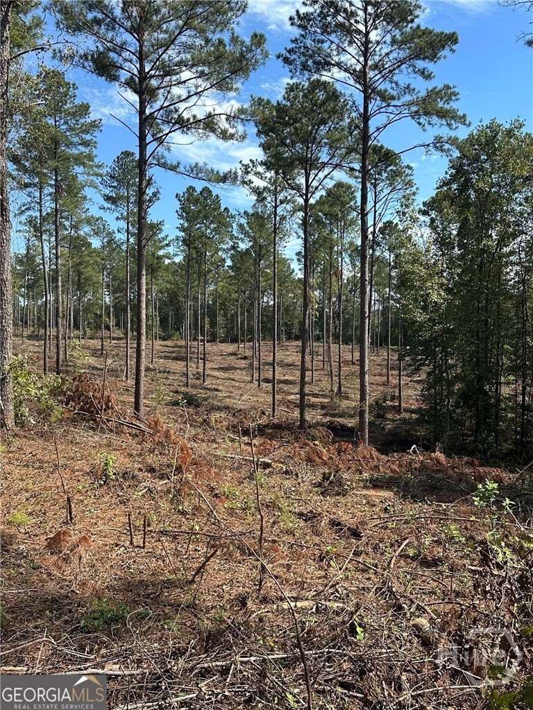 1047 Acres in Madison, Georgia