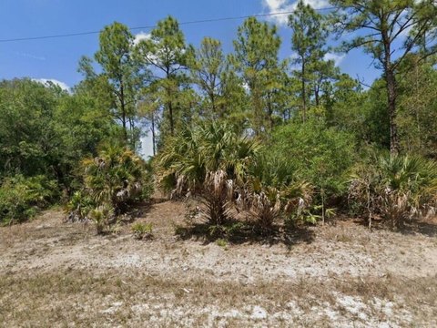 Land & Docks, Lehigh Acres, FL