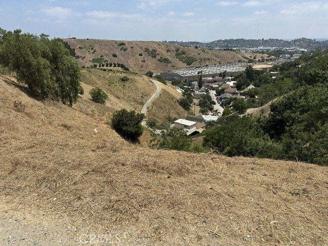 Picture 11