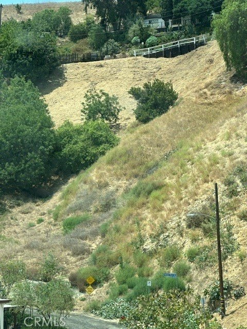 Picture 12