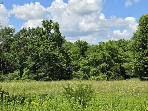 LAND, GALENA, IL