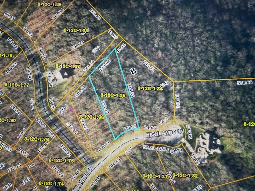 Picture 3