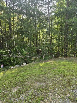 Mountain Land Bordering National Forest