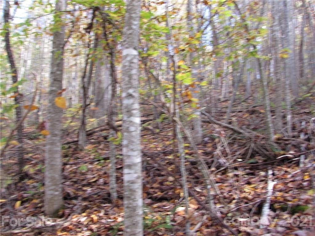 Land in Red Wolf Run