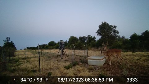 Hunting Land with Oak Forest