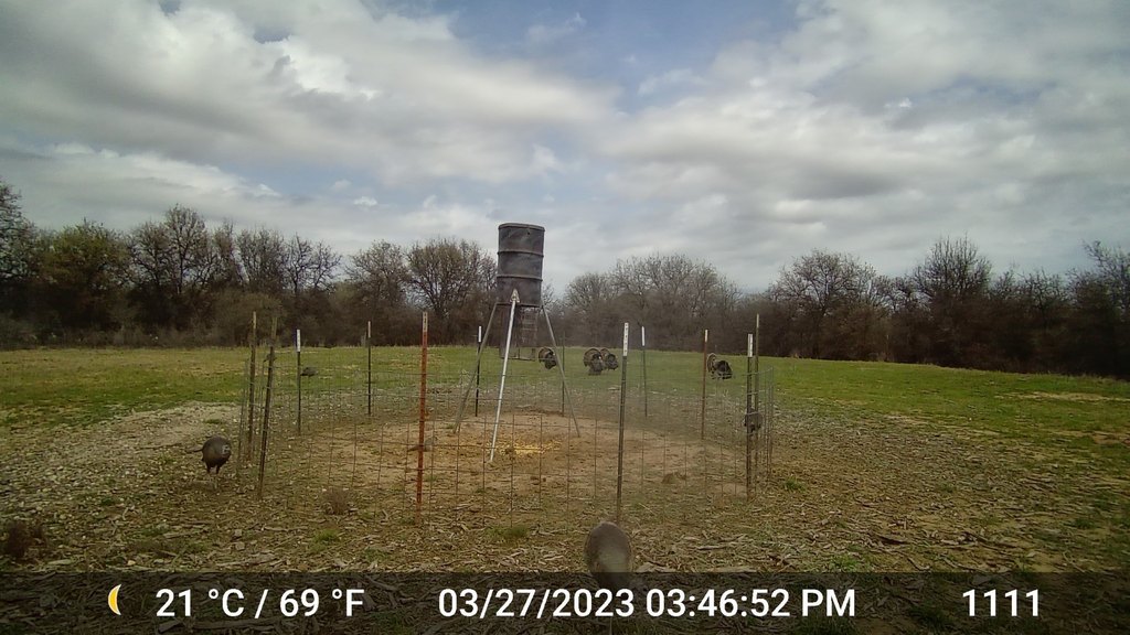 Picture 6