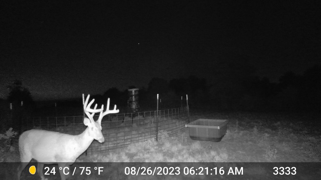 Picture 2