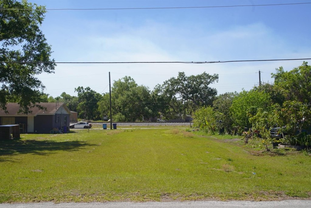 Picture 6