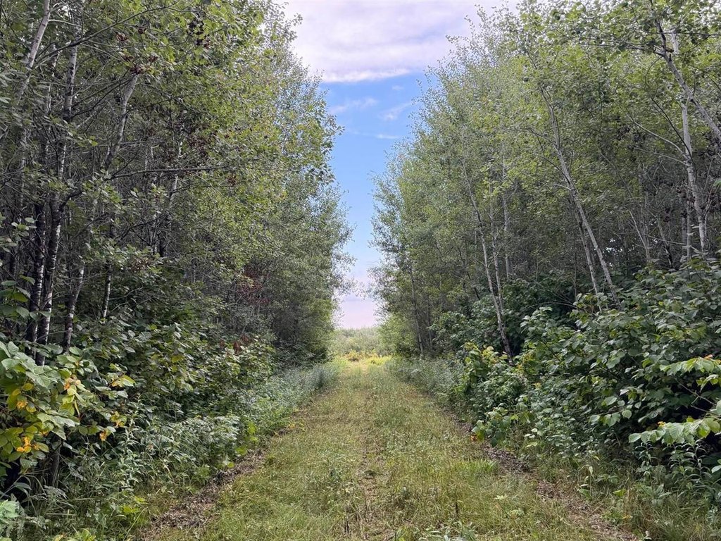 Picture 30