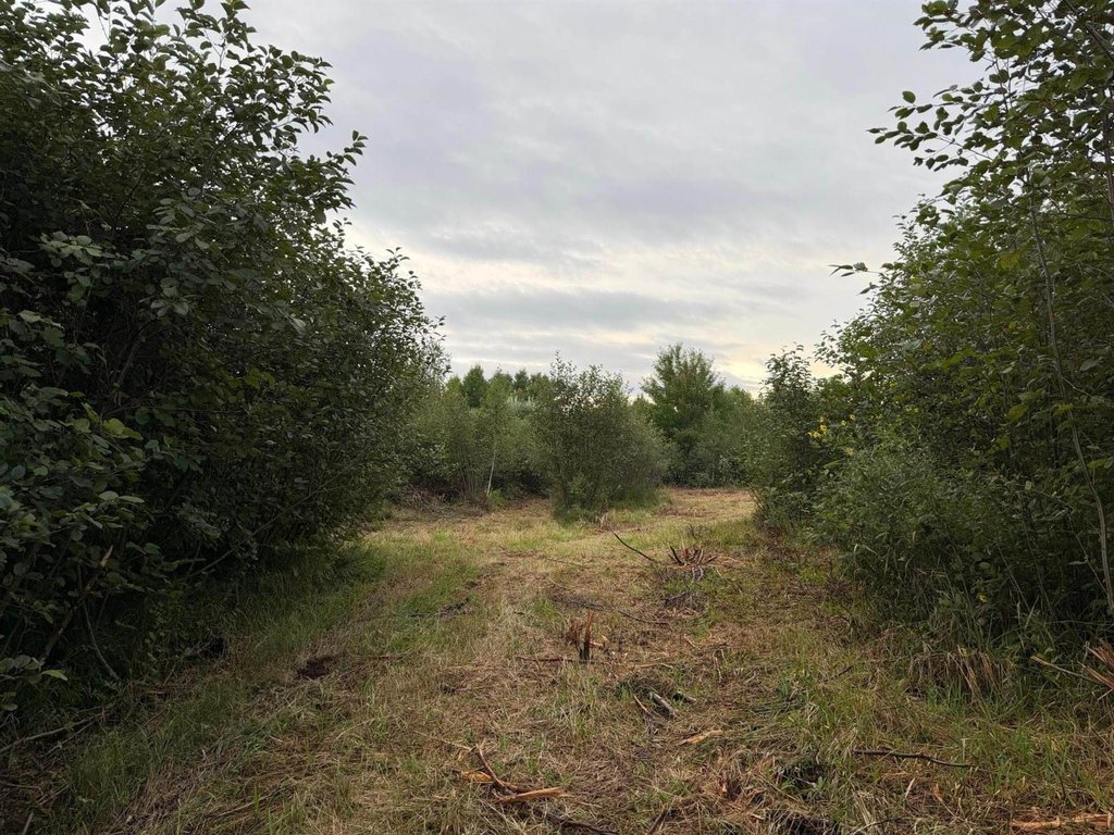 Picture 32