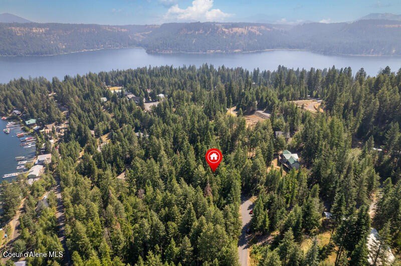 Picture 8