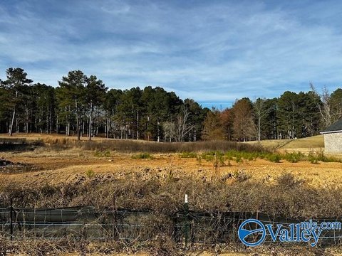 Land, Cherokee Ridge, AL