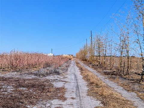 10 Acres Land with Crops