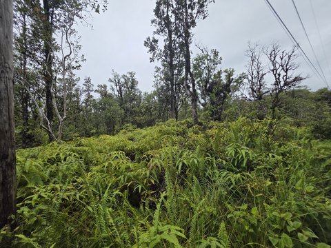 Land, Mountain View, HI