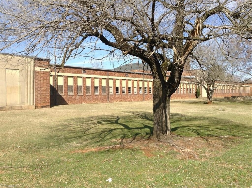 Picture 5
