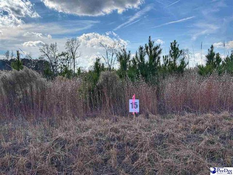 Residential Lot in Latta, SC