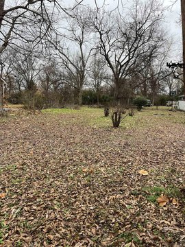 Land in Brinkley, Arkansas