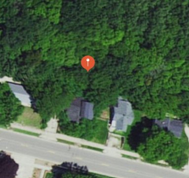 Wooded Lot Near Downtown