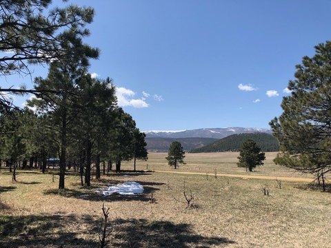 LAND - Rociada, NM