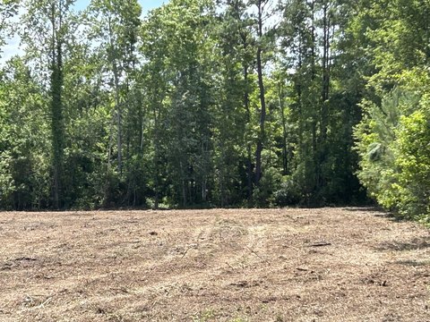 Highway 17 Commercial Land Opportunity