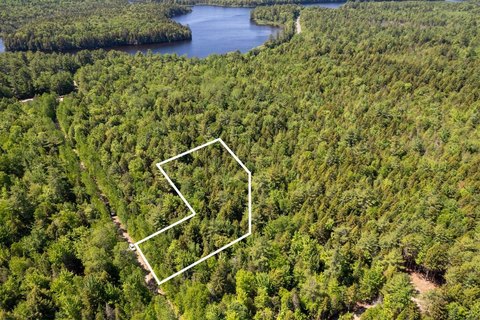 Wooded Residential and Recreation Land