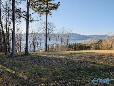Lake Guntersville Gated Community Land