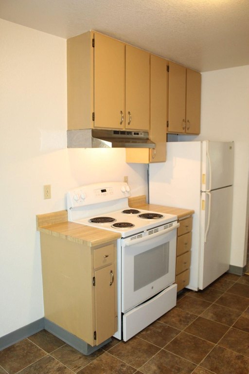 Picture 8