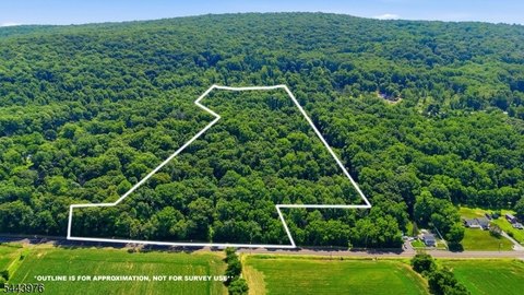 Wooded Single-Family Land Tract